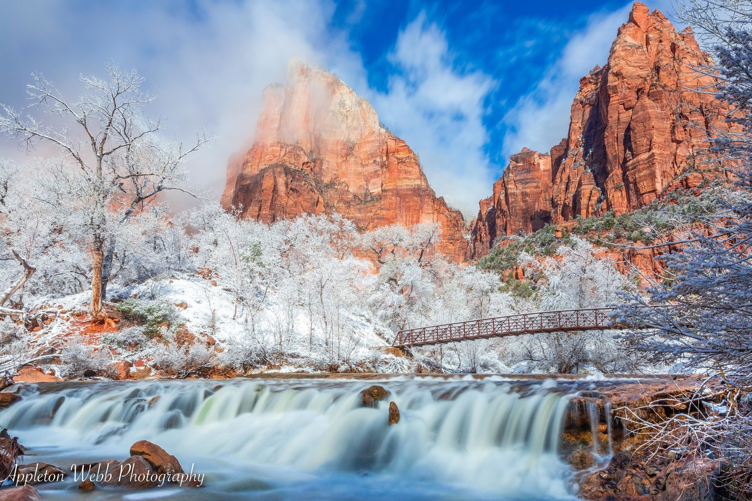 Bridge to the Saints