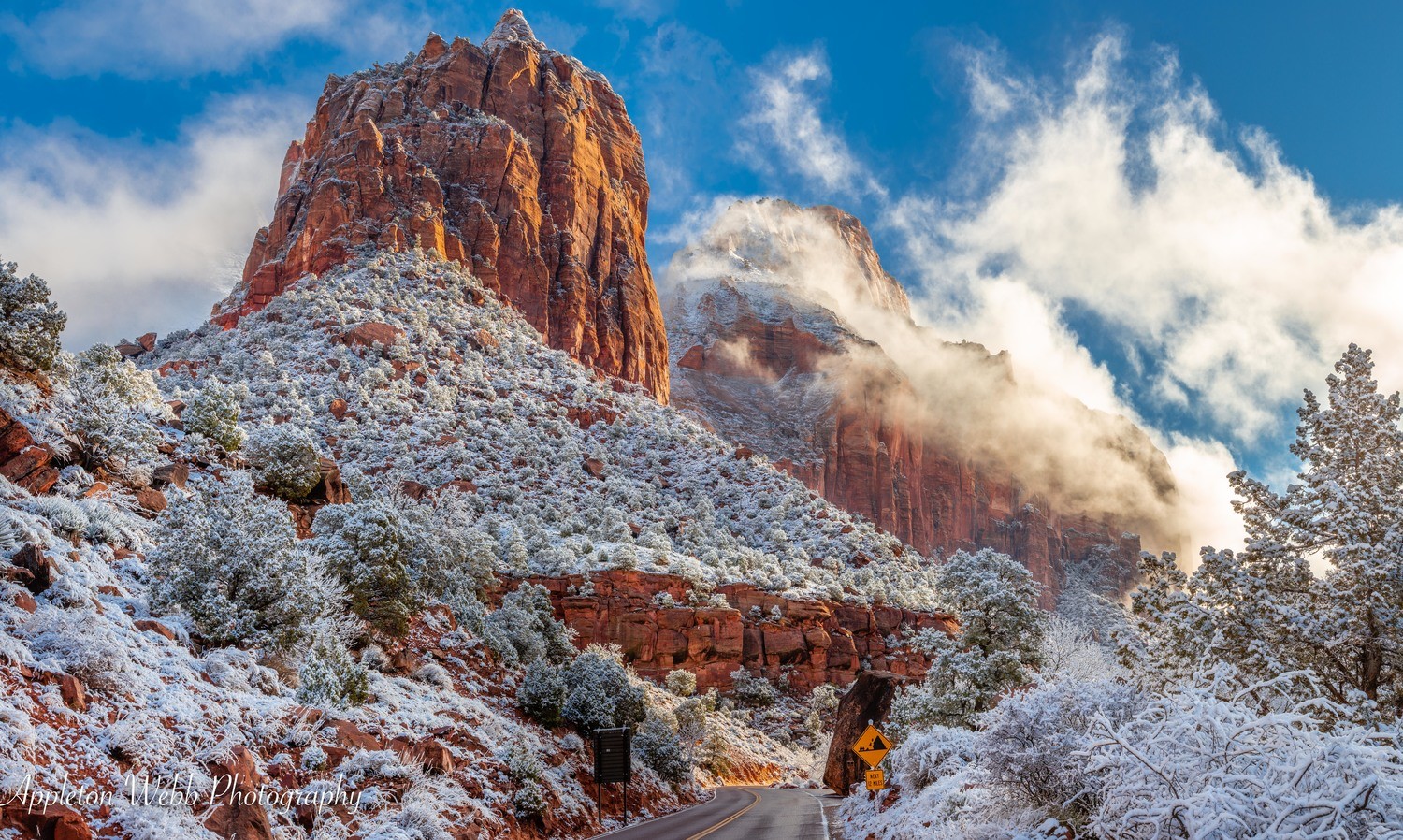 Canyon Junction