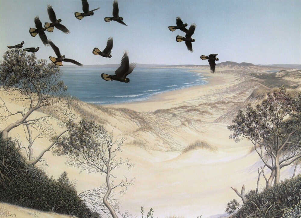 Edge of the Dunes