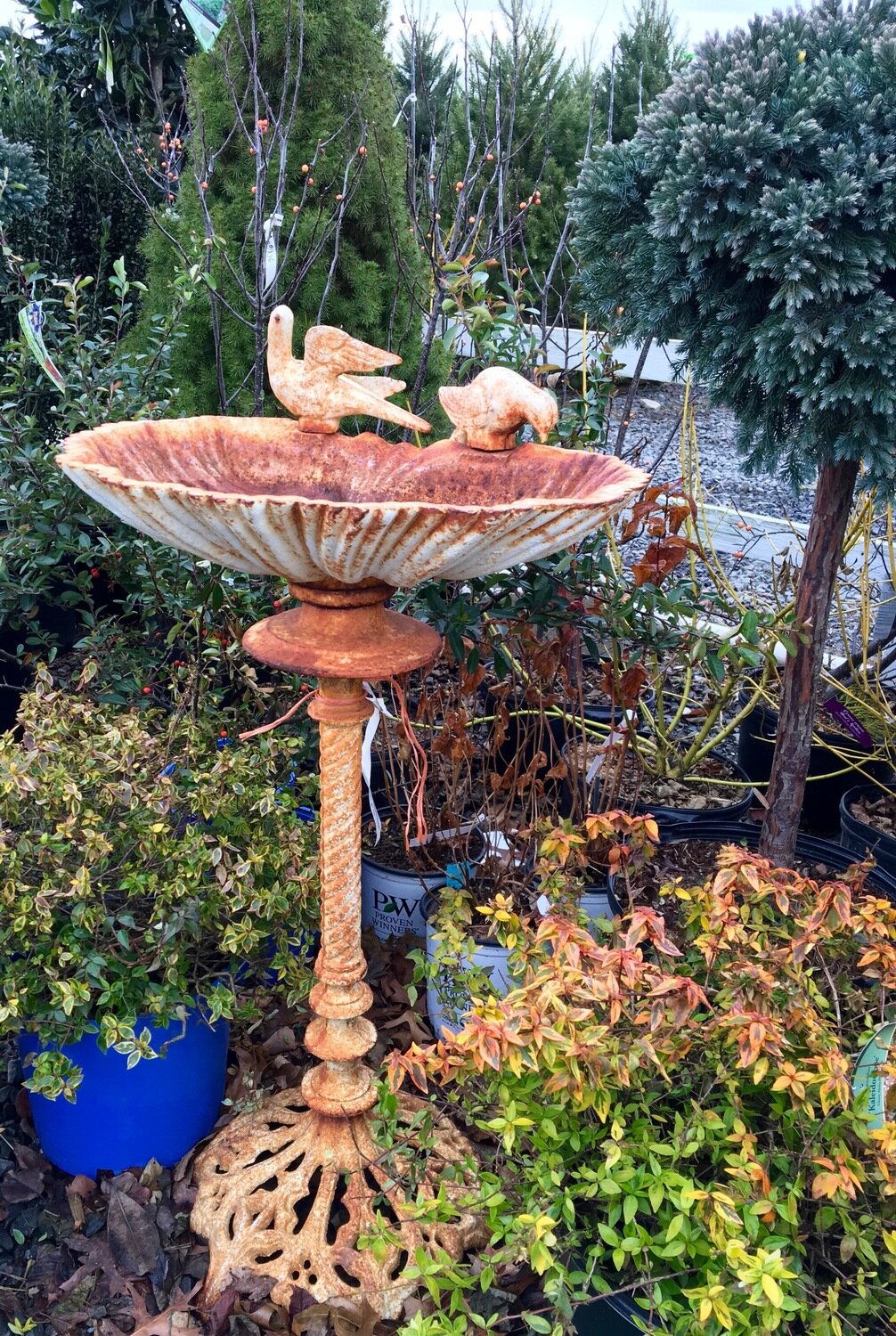 Double Bird Perching Birdbath