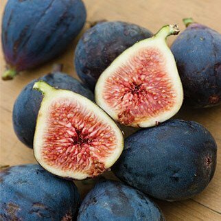 Fig Tree &#39;Blackjack&#39;