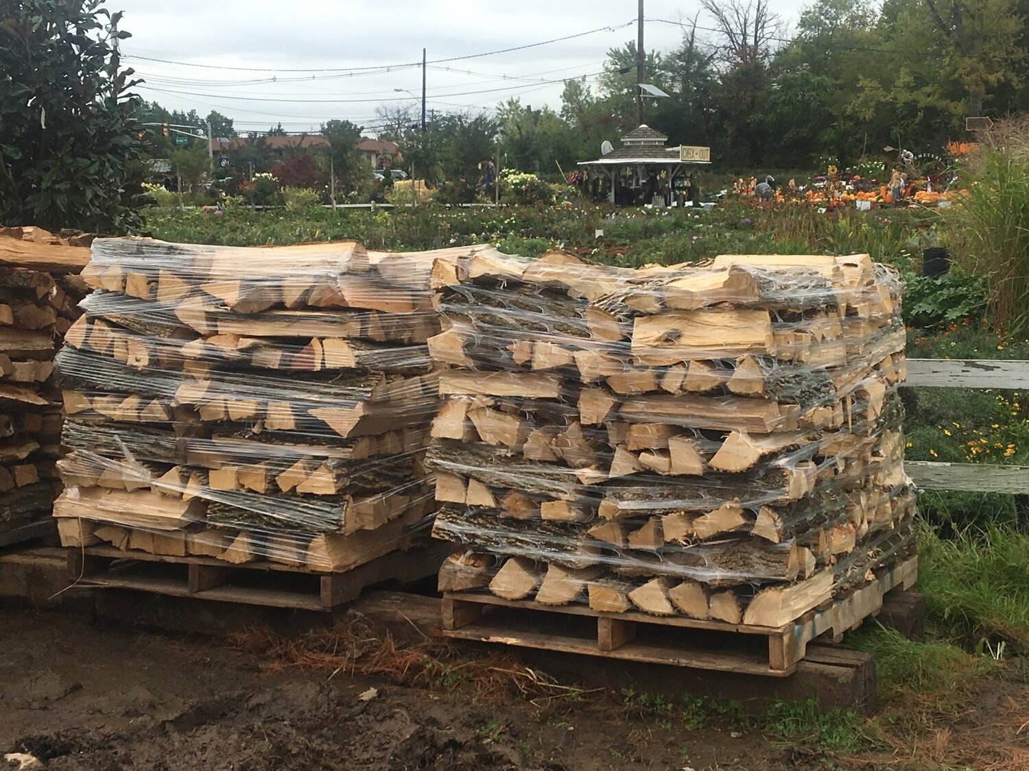 Firewood on Pallet