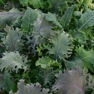 Kale