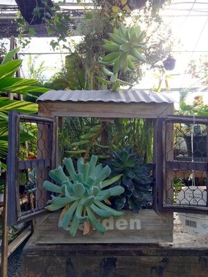 Succulent Planter 'Double Window Box'