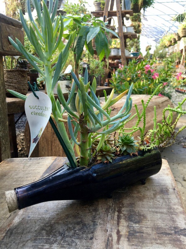 Succulent Planter &#39;Bottle&#39;