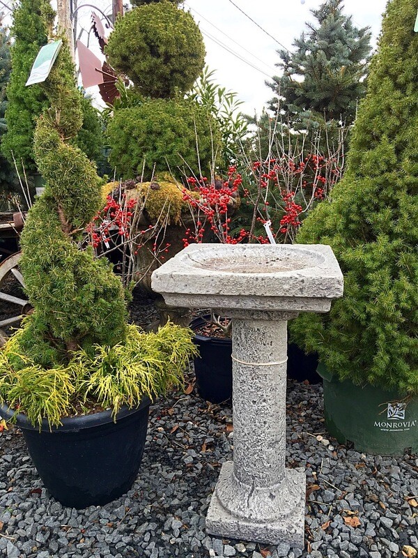 28&quot; Renaissance Bird Bath