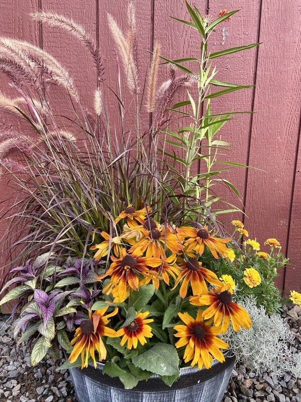 Summer Into Fall Custom Planter
