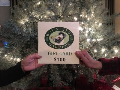 Gift Cards