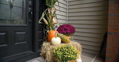Fall Decorating Package #1 - The Basic