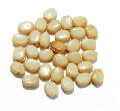 Indian Glass Oval Beads in Cream, 10mm