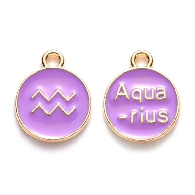 Enamel & Gold Zodiac Pendant/Charm, Aquarius, 22x18x2mm