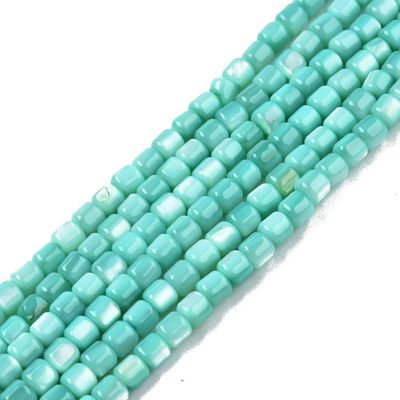 Light Sea Green/Turquoise Shell Tube Beads, 3.5mm, 1 Strand