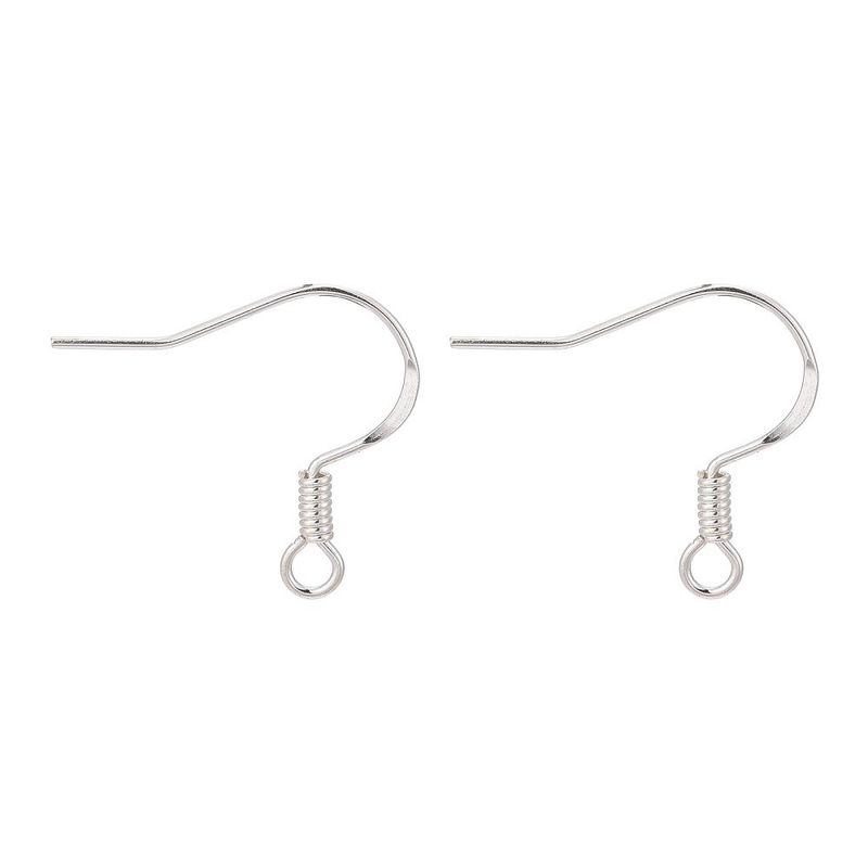 Sterling Silver Ear Hooks, 1 Pair