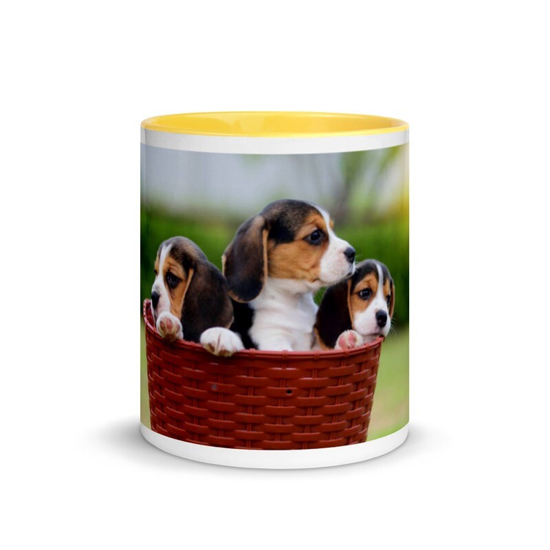 Beagle muki