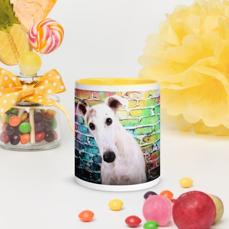 Muki whippet-koira