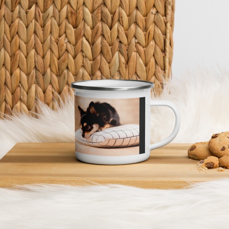 Emalimuki - chihuahua