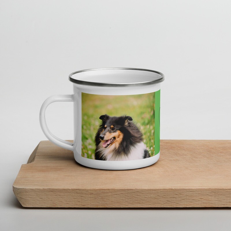 Emalimuki - collie