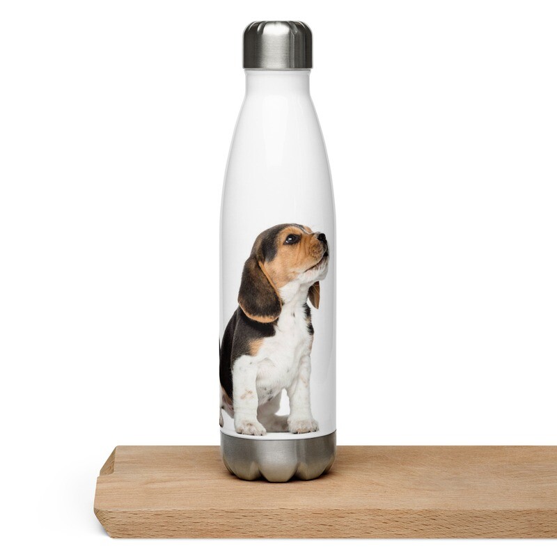 Beagle vesipullo - 0,5L