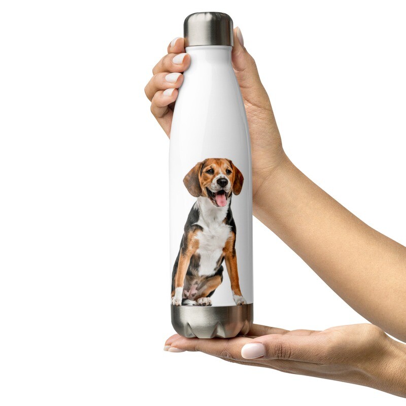 Beagle vesipullo - 0,5L