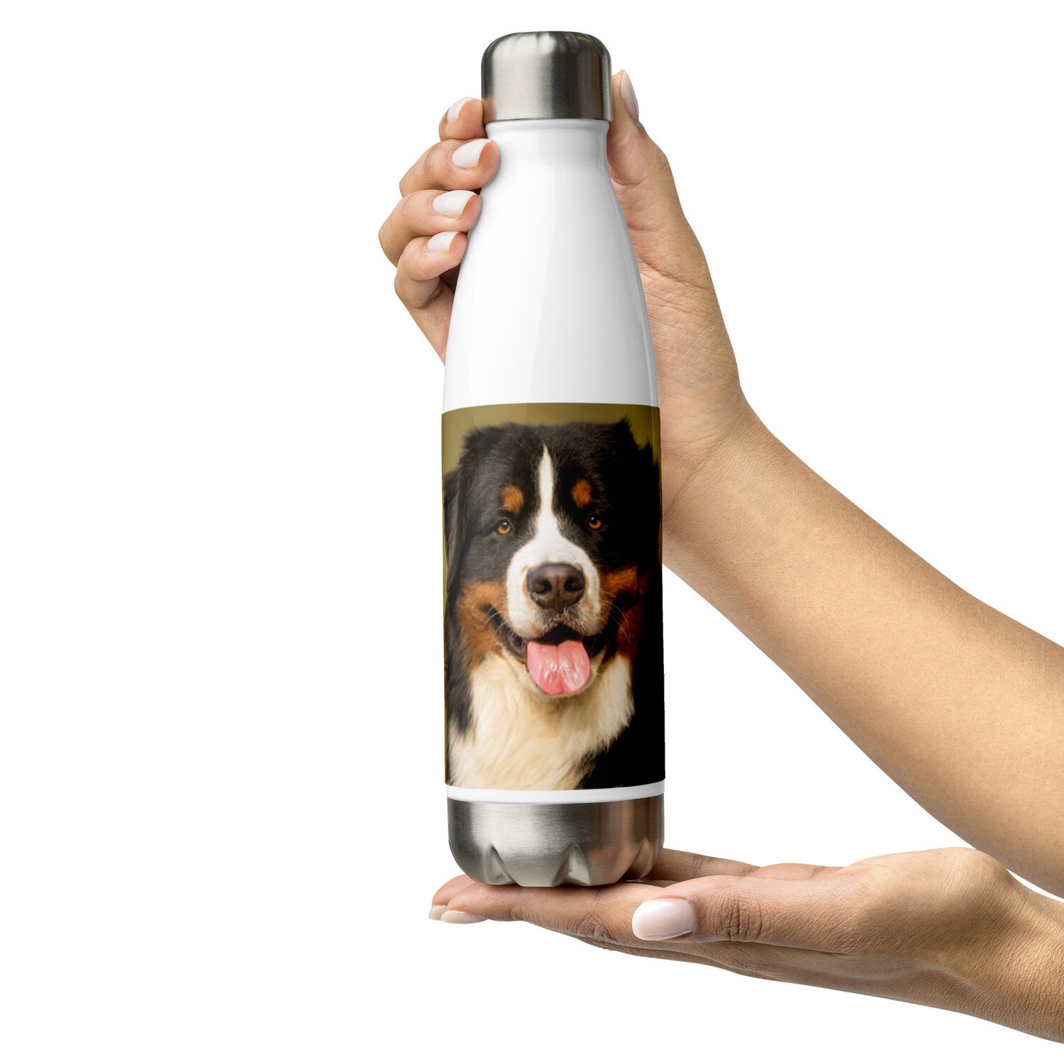 Teräksinen juomapullo - Berninpaimenkoira - 0,5L