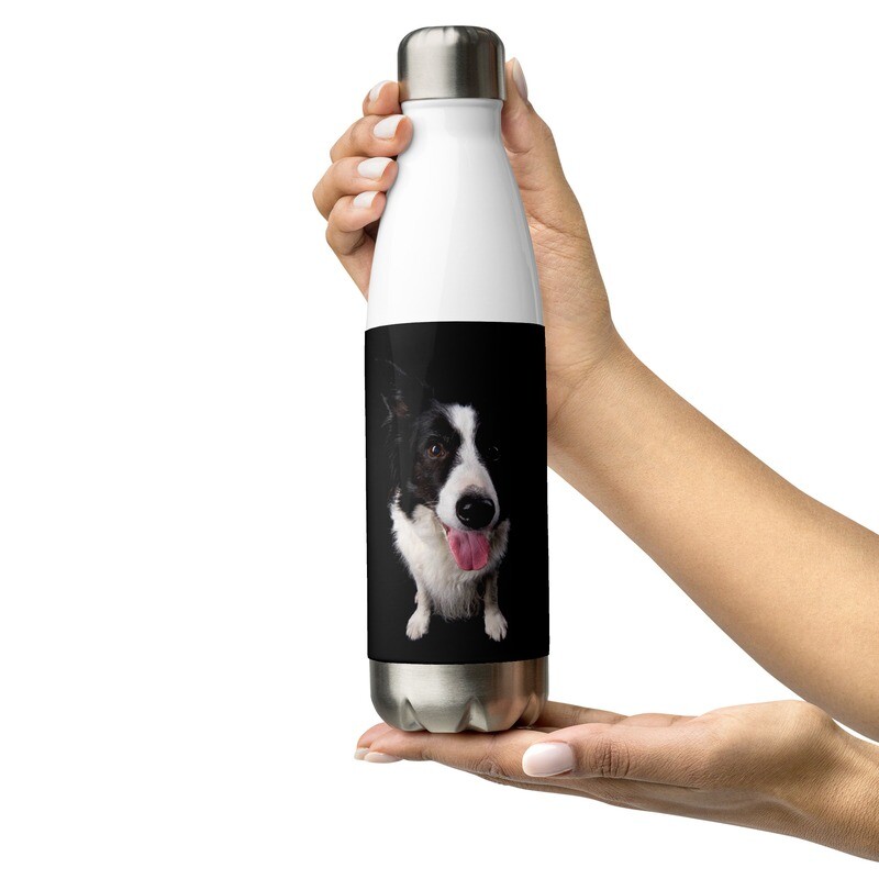 Bordercollie vesipullo - 0,5L