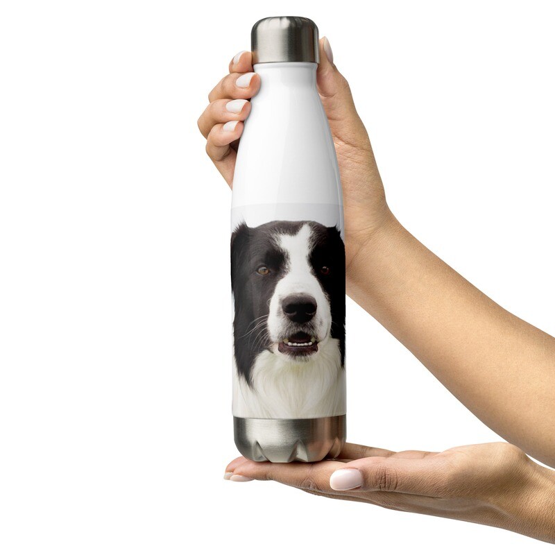 Bordercollie vesipullo - 0,5L