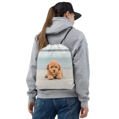 Narukassi villakoiran pentu