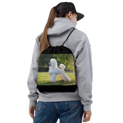 Valkoinen villakoira narukassi