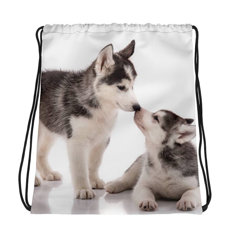 Huskyn pennut narukassi