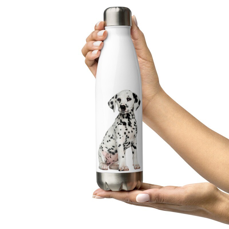 Dalmatialainen koiranpentu vesipullo