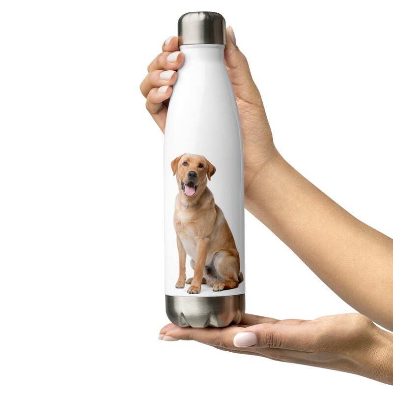Labradorinnoutaja vesipullo