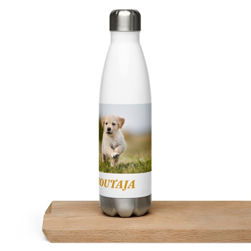 Labradorinnoutajan pentu vesipullo
