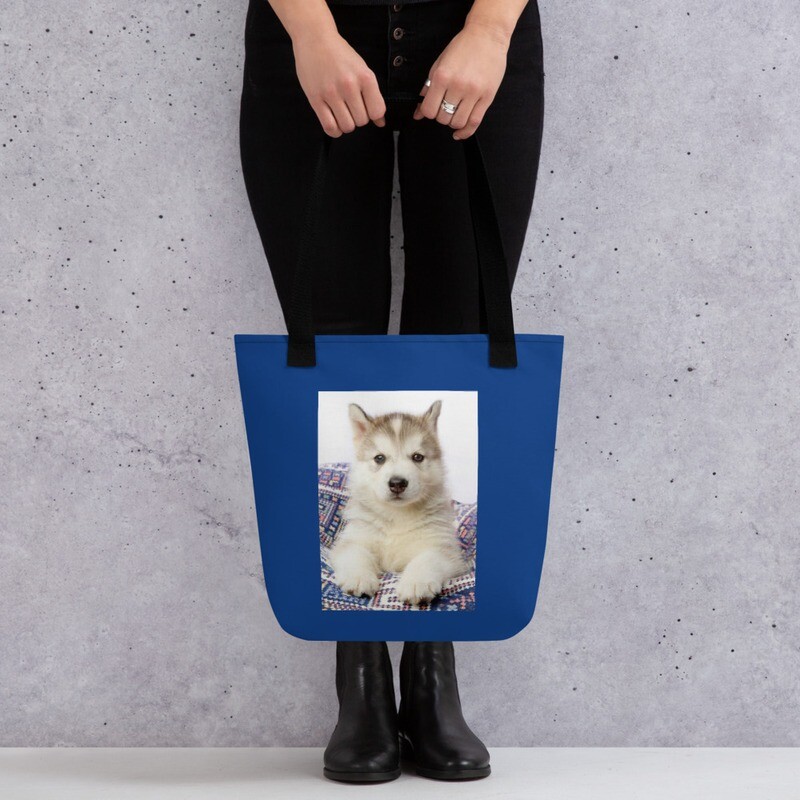 Siperianhusky kangaskassi