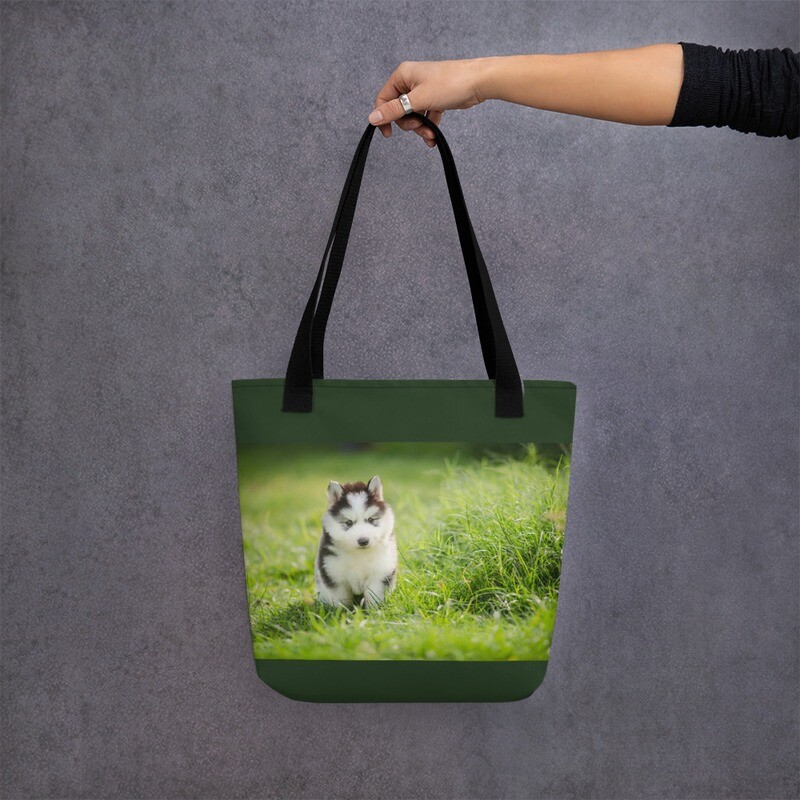 Siperianhusky pentu kassi