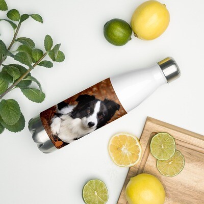 Bordercollie vesipullo - 0,5L