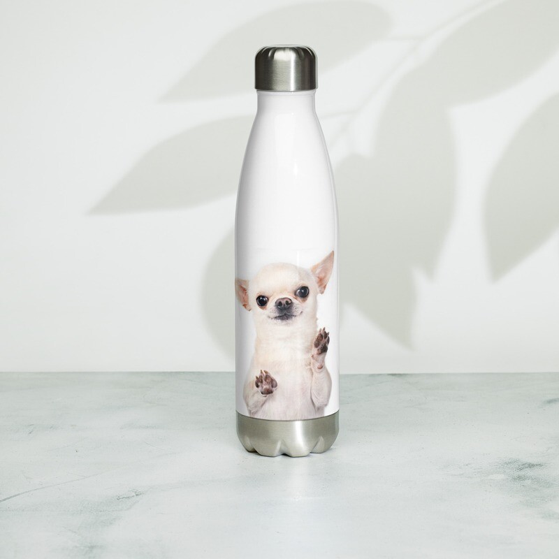 Chihuahua vesipullo - 0,5L