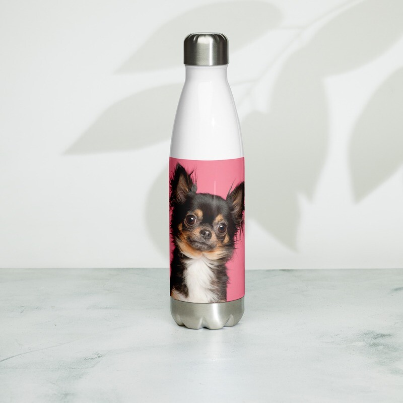 Chihuahua vesipullo - 0,5L