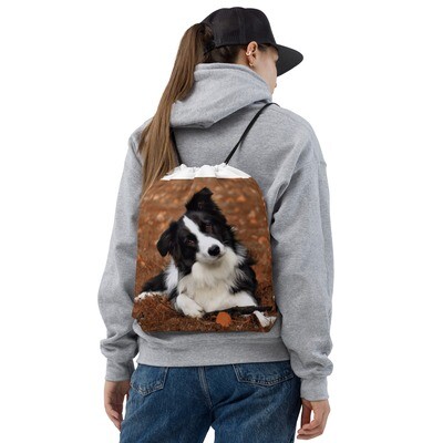 Bordercollie narukassi