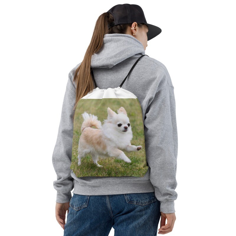 Chihuahua narukassi