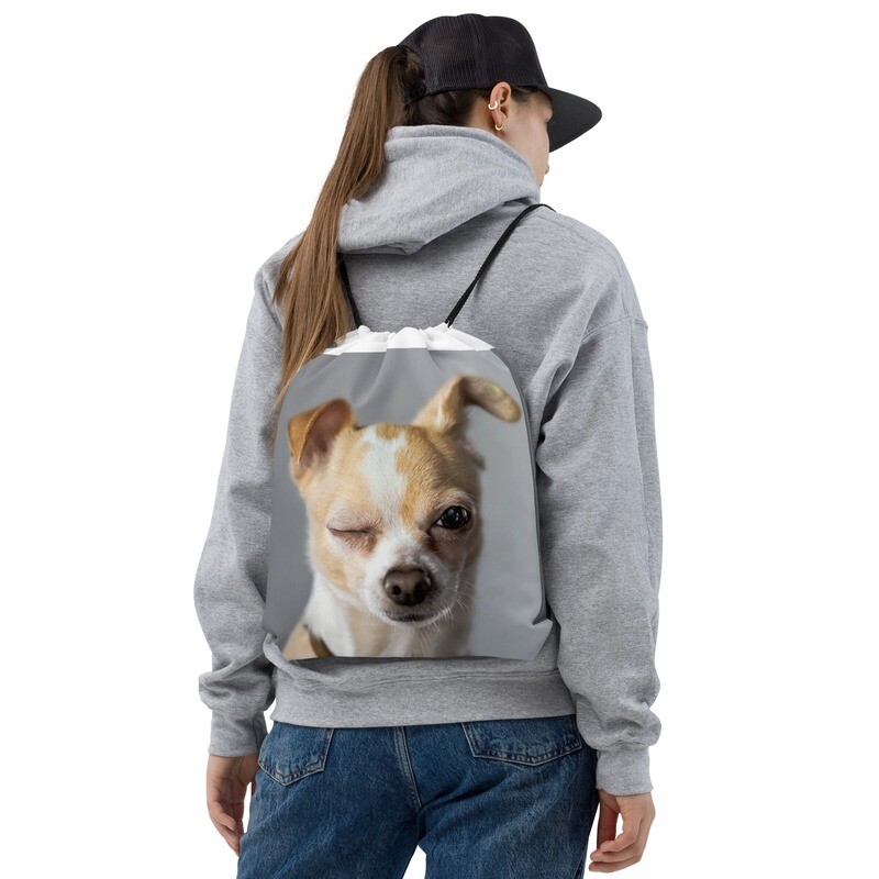 Chihuahua narukassi