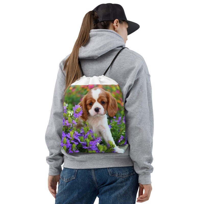 Kingcharlesinspanieli narukassi