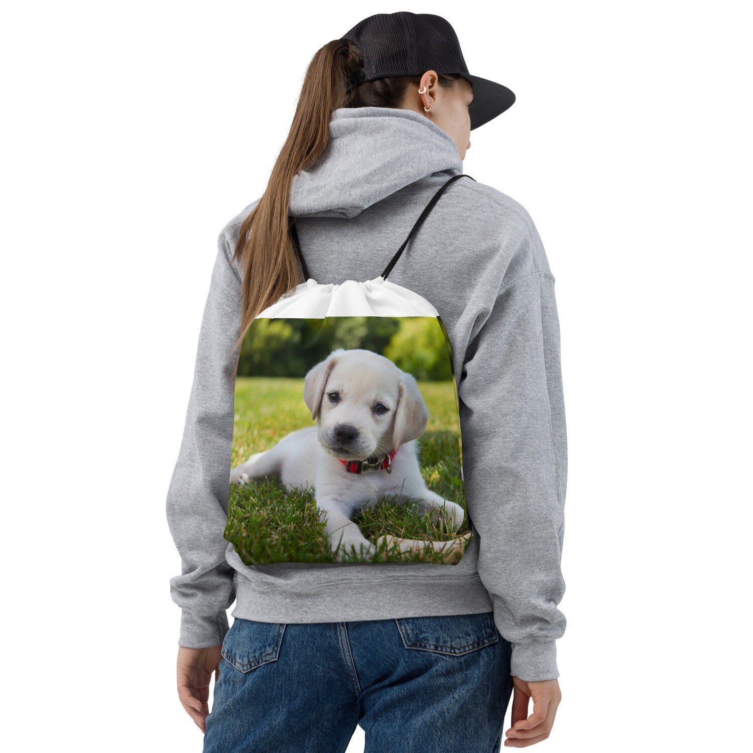 Labradorinnoutaja narukassi