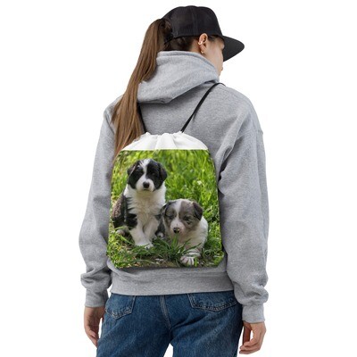 Collie narukassi