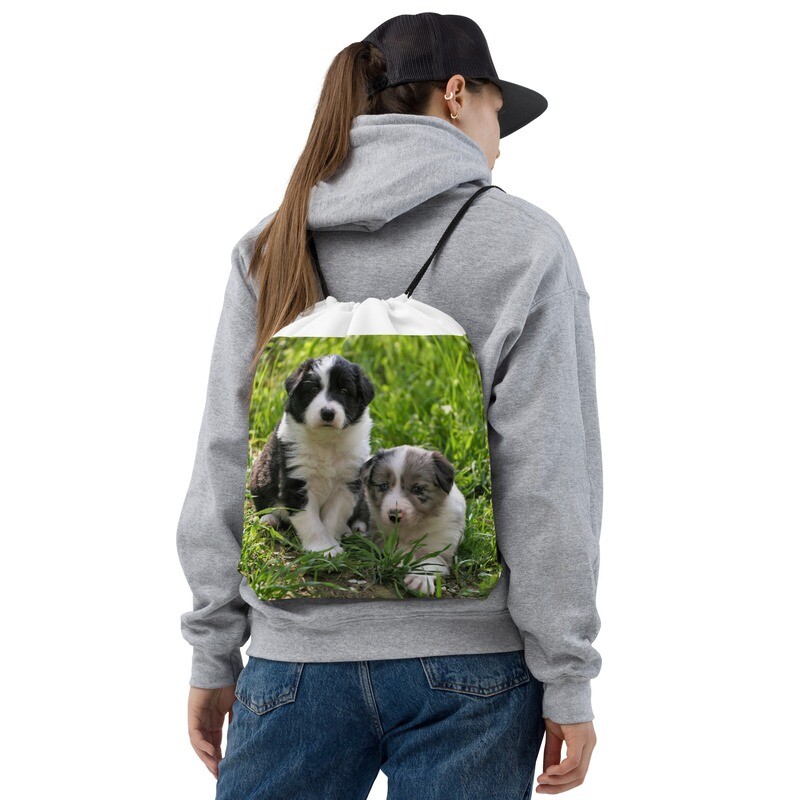 Collie narukassi