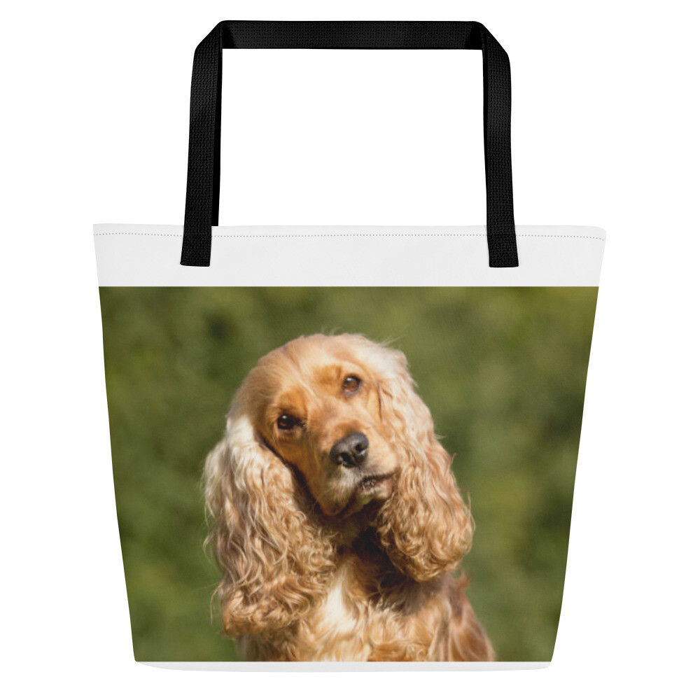 Cockerspanieli kassi