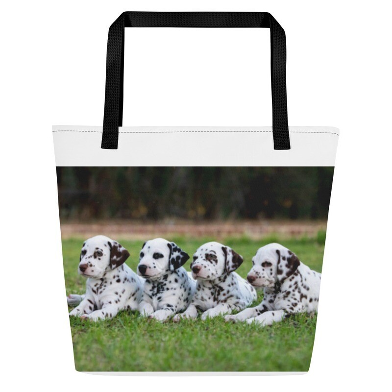 Dalmatialainen kassi