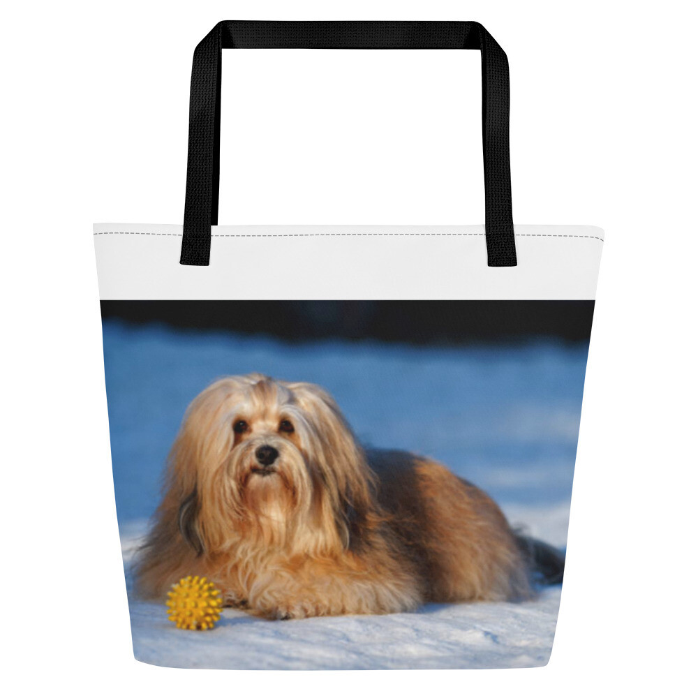 Havannankoira kassi, Kahvan väri: Musta