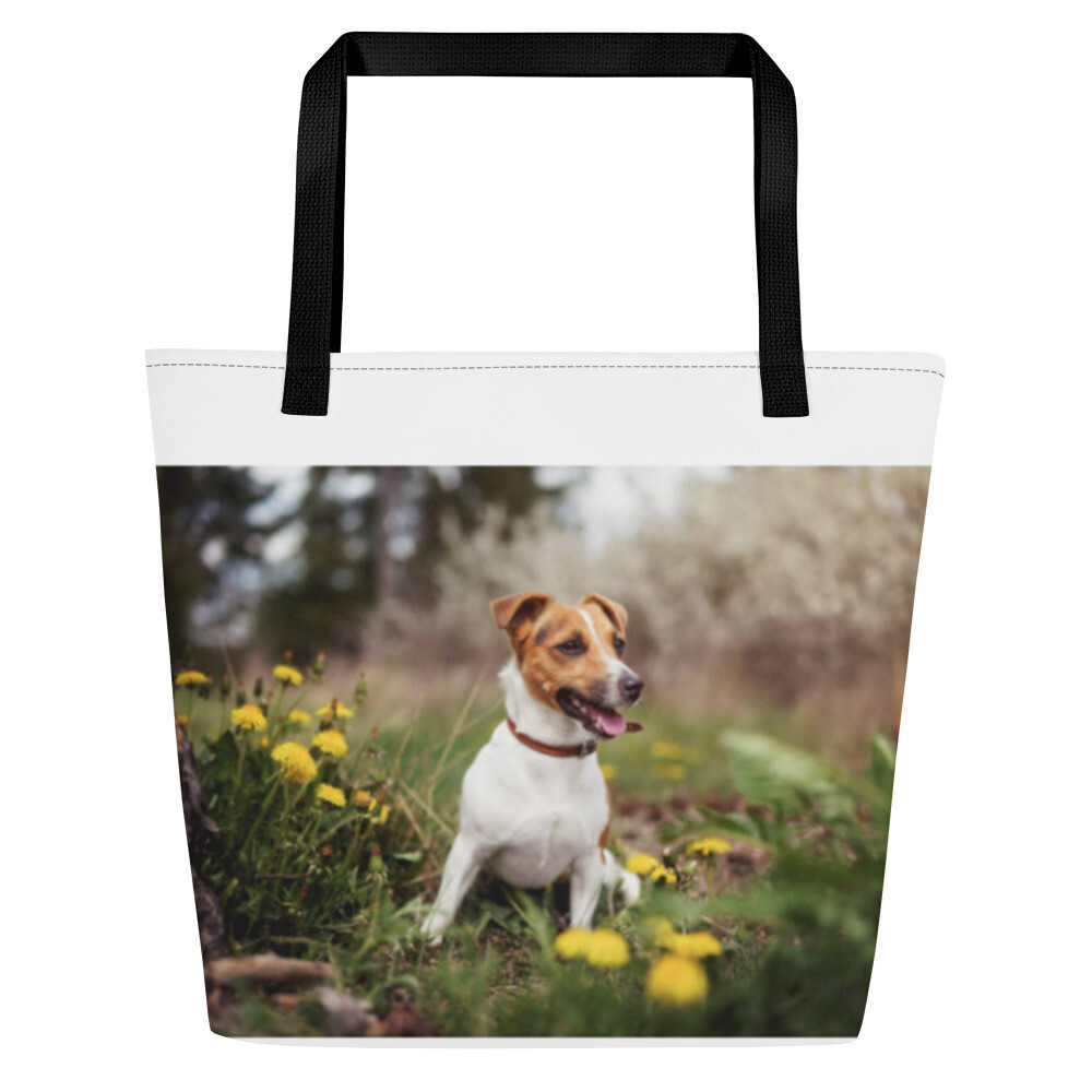 Jackrusselinterrieri kassi, Kahvan väri: Musta