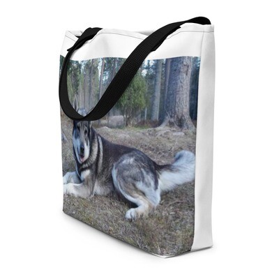 Jämtlanninpystykorva kassi