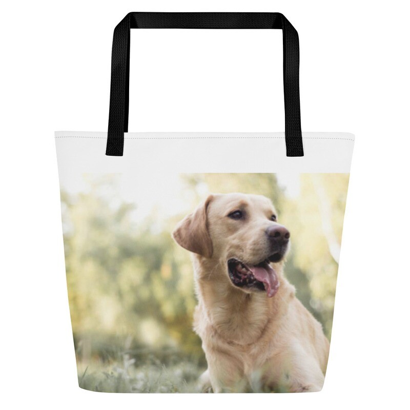 Labradorinnoutaja kassi